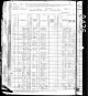 1880 US Federal Census for New York, Brooklyn, Kings County